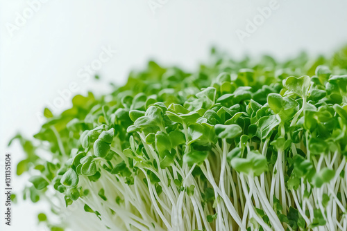 A close-up of fresh cress sprouts, isolated on a white background
