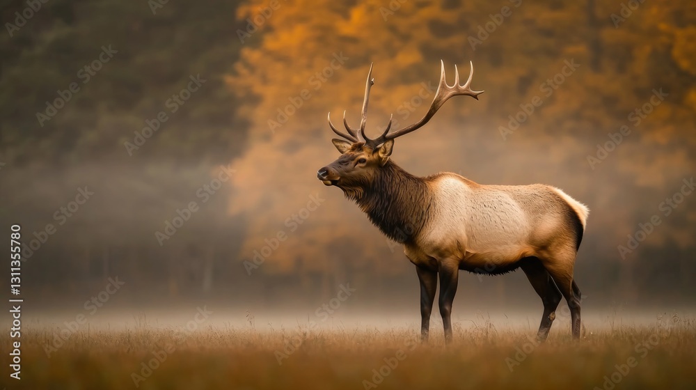 Fototapeta premium Majestic elk stands in misty landscape, surrounded by golden aut
