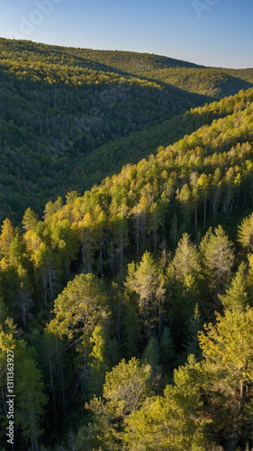 Wallpaper Mural Tranquil Forest Stream with Grass and Sunlit Trees at Sunset, Beautiful Nature Landscape Torontodigital.ca