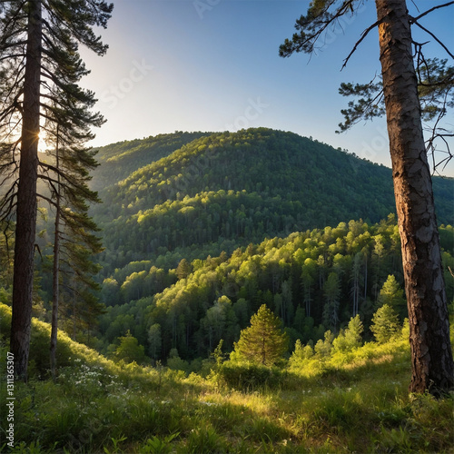 Wallpaper Mural Tranquil Forest Stream with Grass and Sunlit Trees at Sunset, Beautiful Nature Landscape Torontodigital.ca