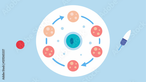 Time Lapse Recovery A timeline showing the stages of skin recovery with markers for each week featuring the role of exosomes at each stage in accelerating healing.