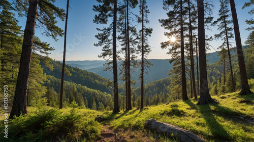 Wallpaper Mural Tranquil Forest Stream with Grass and Sunlit Trees at Sunset, Beautiful Nature Landscape Torontodigital.ca