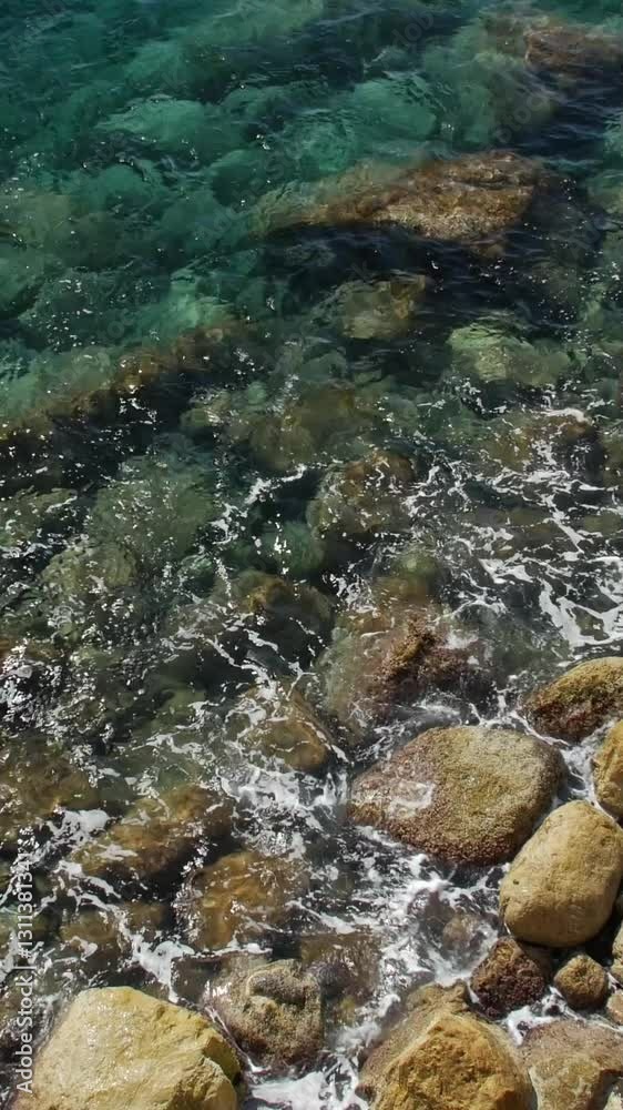 Sunlight dances on the water's surface, highlighting the vibrant underwater Sunlight dances on the water's surface, highlighting the vibrant underwater