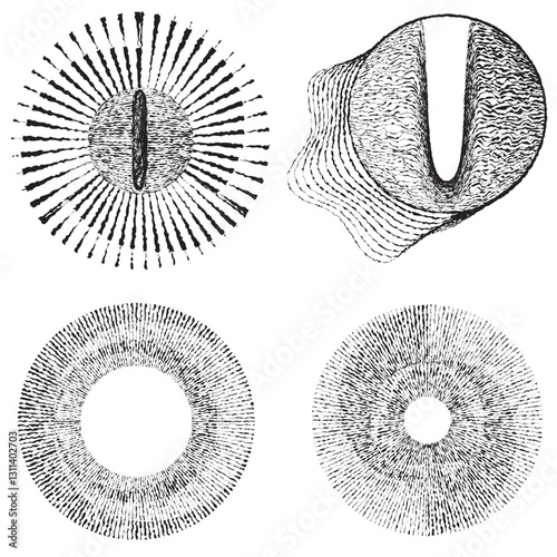 Rough lines in Circle Form . Rotate rounded shape Vector Illustration .Rotating circles form a ring.Rotating design element . Various circle lines forming round frame . Abstract Geometric line art .