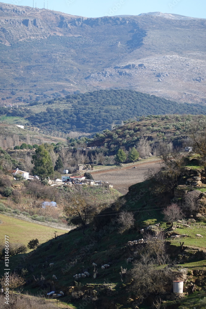 Obraz premium view of Ronda, Andalucia Spain