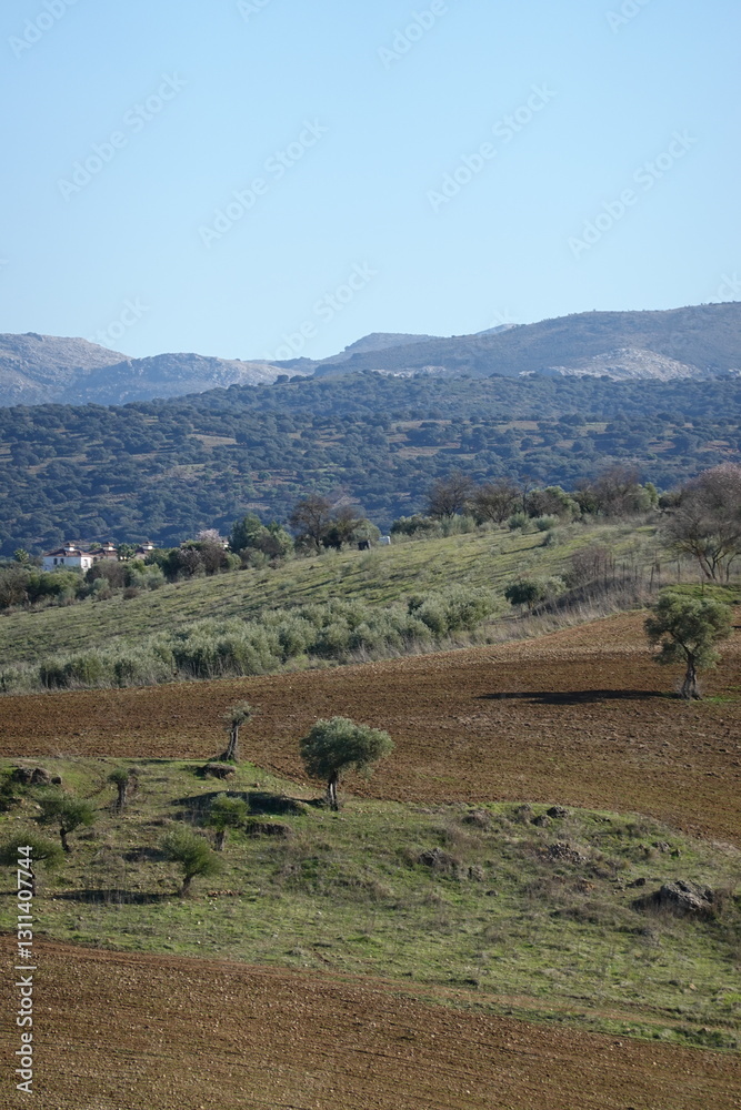 View of Ronda in spring, Andalucia, Spain View of Ronda in spring, Andalucia, Spain