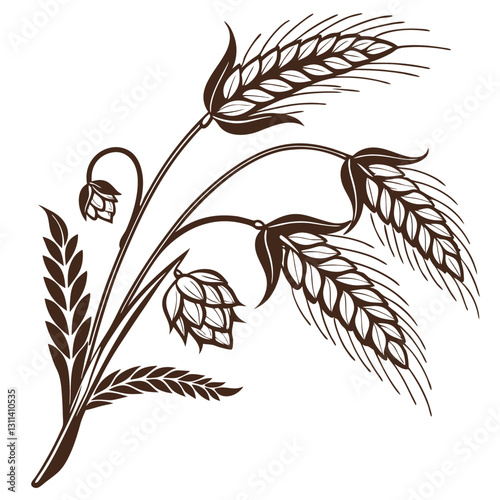 Buckwheat plant illustration with grains and leaves against white background
