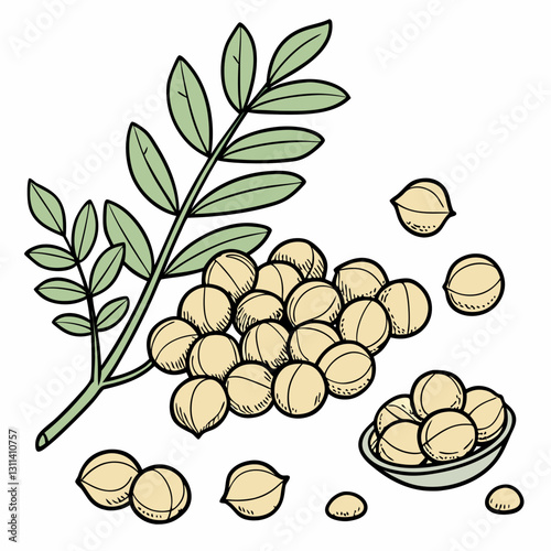 Chickpeas illustration with leaves and scattered seeds