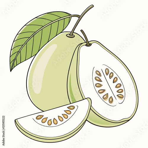 Guava fruit with green leaves on a light background