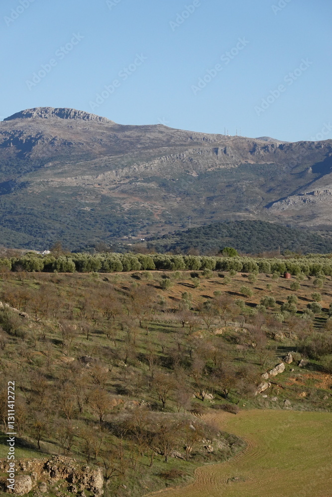 Fototapeta premium View of Ronda, Andalucia Spain