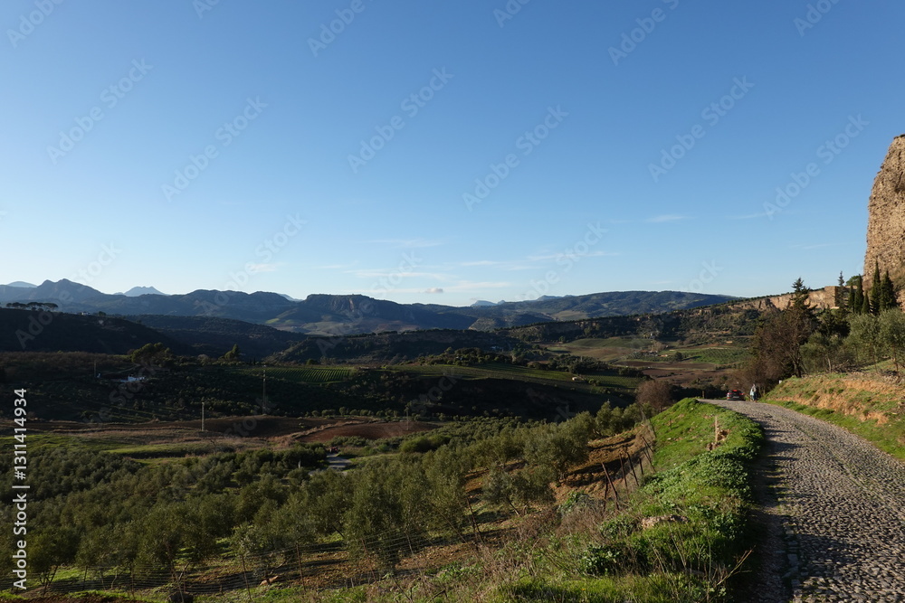 Naklejka premium View of Ronda, Andalucia Spain