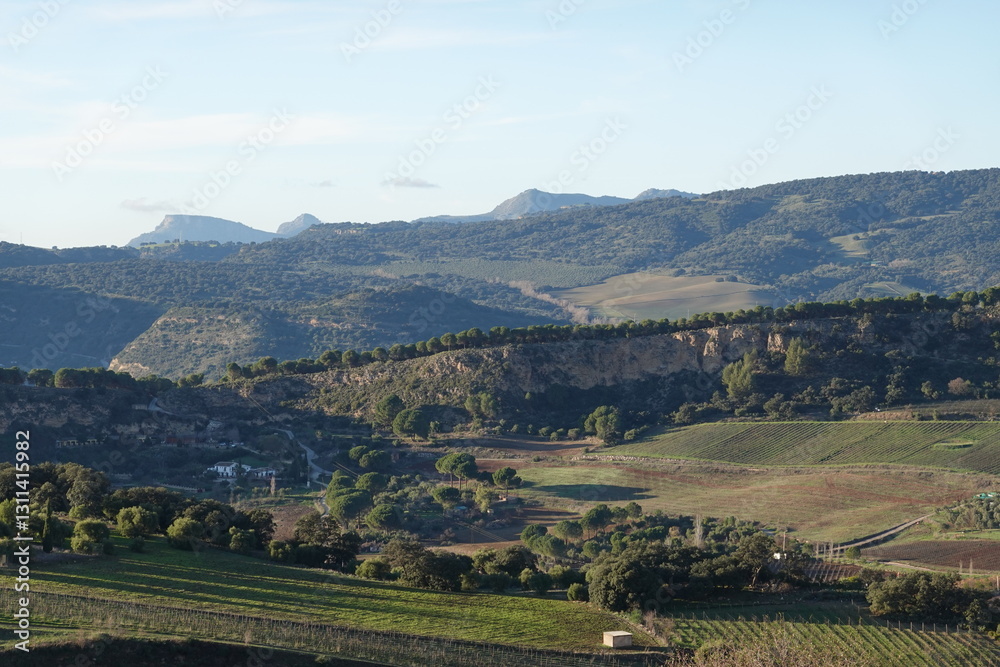 Naklejka premium View of Ronda, Andalucia Spain