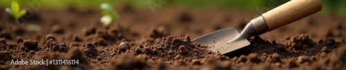 Trowel, cultivator, and hand rake in rich brown soil , detail, tools