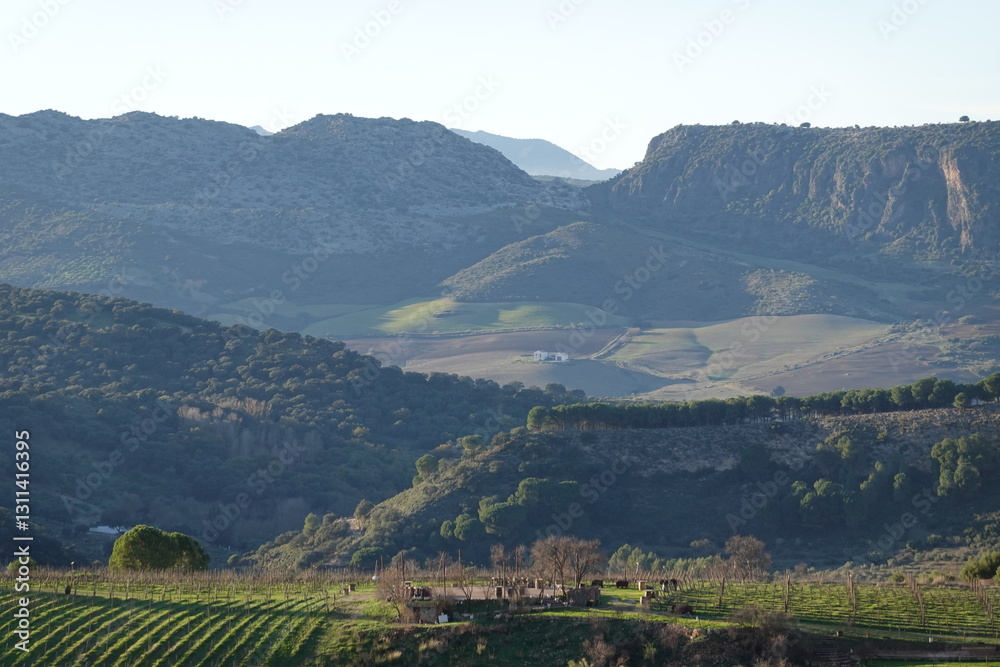 Fototapeta premium View of Ronda, Andalucia Spain