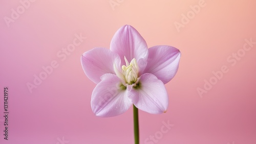 Nowruz – Persian Spring Minimalism with hyacinth pattern