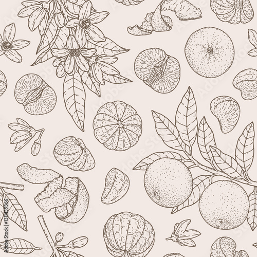 Seamless pattern with whole mandarin, slices, halves and branch. Citrus linear design. Hand drawn organic fruit concept. Natural botanical background for print, wrapping paper, fabric, banner, textile