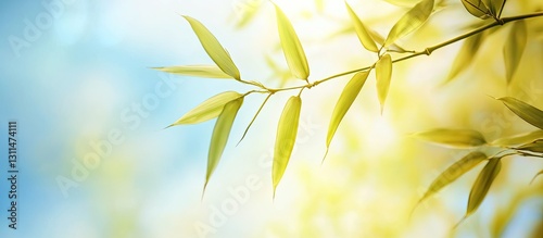 Vibrant gold and green bamboo leaves gracefully positioned on the left against a soft blurred blue sky background creating a serene nature atmosphere
