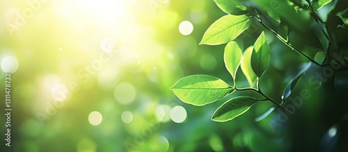 Vibrant green foliage against a bright sunny background with blurred bokeh effects and central copyspace emphasizing a serene summer atmosphere.