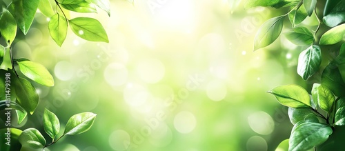 Vibrant green foliage with blurred leaves creating a bright summer light background perfect for copyspace in the center, highlighting freshness and tranquility