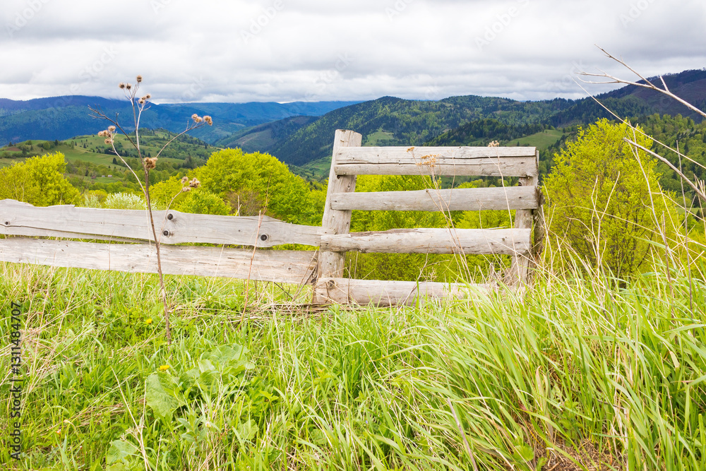 wooden fence near meadow on the hill. mountainous rural landscape of transcarpathia in spring. beautiful view of countryside with grass on field and forested on hillside beneath a cloudy sky