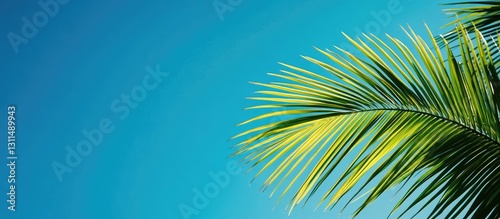 Vibrant green palm leaf extending from the bottom left against a clear deep blue sky creating a tropical serene atmosphere.