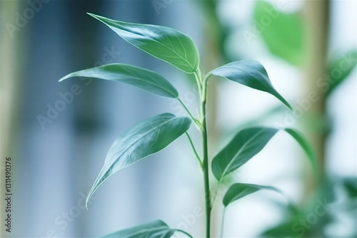 Close-up of green plant leaves with gentle light and blurred background. Natural texture and organic beauty with copy space for eco-friendly designs.