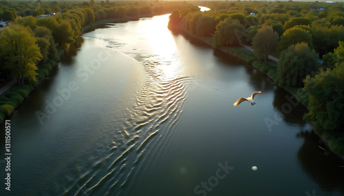 Aerial view of a serene river bend with a bird flying under the warm sunlight