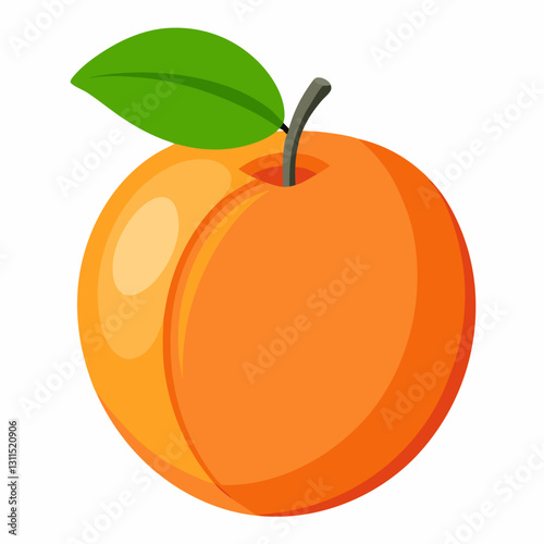 Apricot fruit illustration on white background