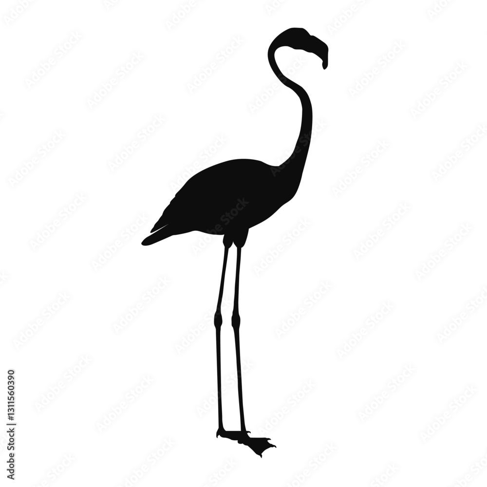Fototapeta premium Vector silhouette of a realistic standing flamingo - black animal illustration, isolated on white background