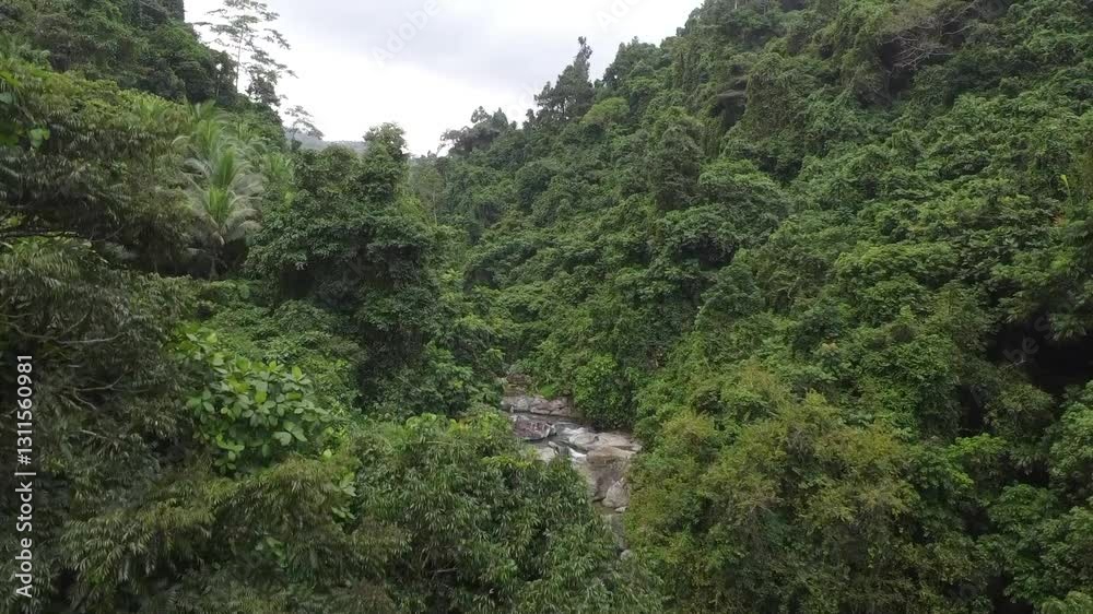 View of a mountainous tropical area and a mountain river. View of a gorge covered with jungle and a mountain river below. View of a mountainous tropical area and a mountain river. View of a gorge covered with jungle and a mountain river below.