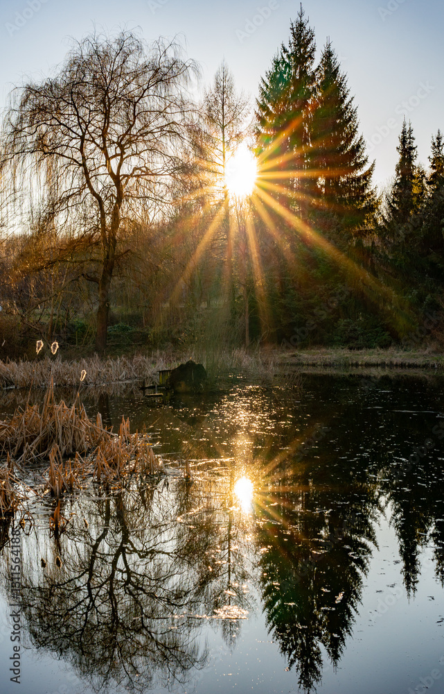 sunrise over the pond in the spring landscape with sun star and reflection of the trees in the water vertical