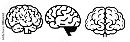 black and white brain shapes cartoon silhouettes in vector illustrations, brain from front side and another style vector illustration