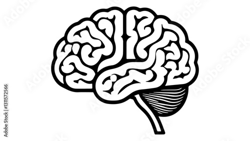 human brain vector illustration outline shape
