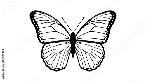 black and white butterfly silhouette on white background