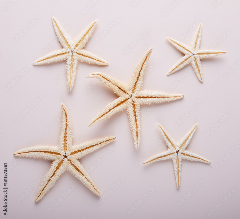dried starfish on a light background, pattern dried starfish on a light background, pattern