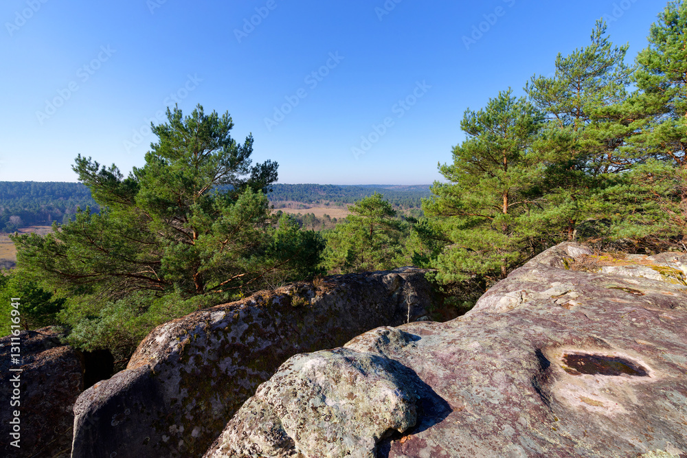 Corne-Biche rock in Fontainebleau forest
Corne-Biche rock in Fontainebleau forest