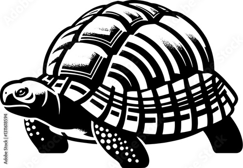 Radiated Tortoise icon 7