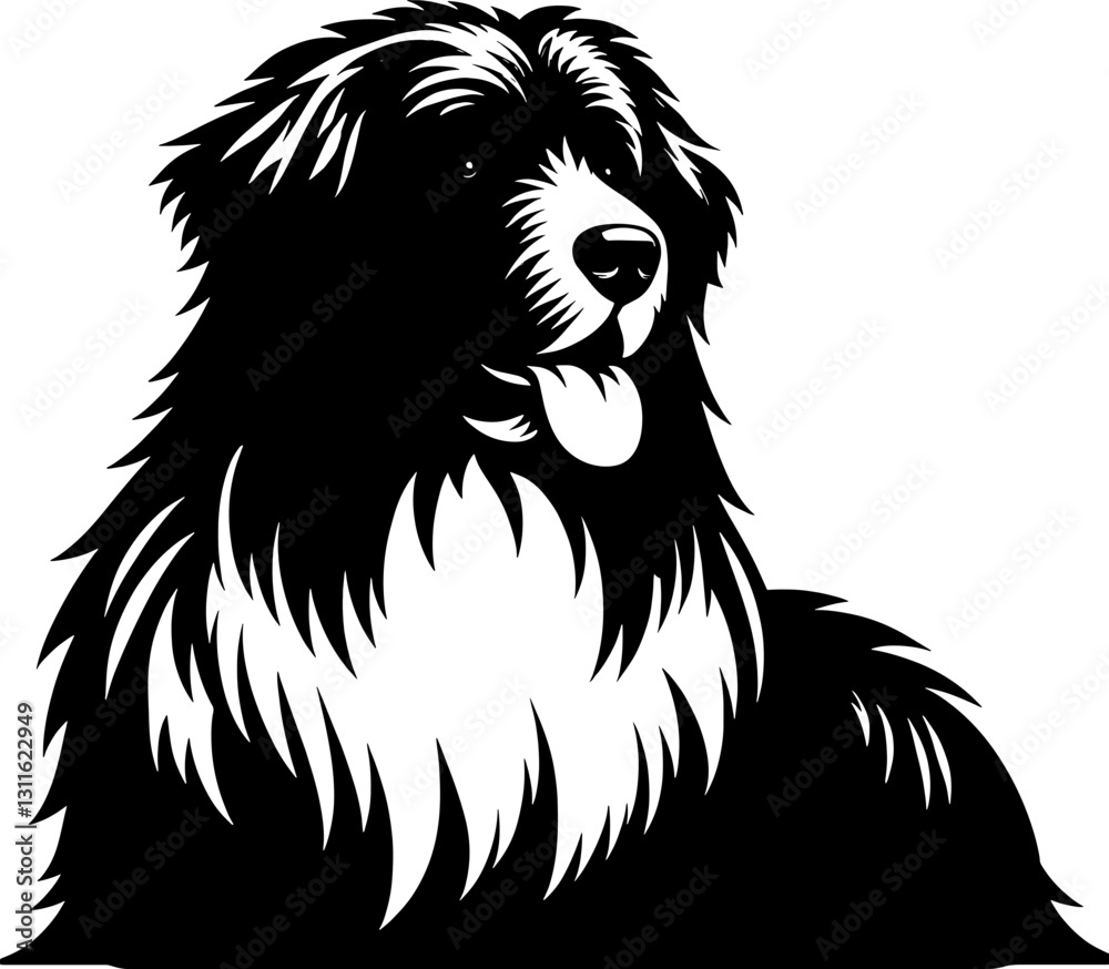 Obraz premium Pyrenean Shepherd icon 1