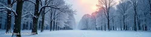Snowflakes gently falling on bare trees in forest, frozen, bare, snowflake