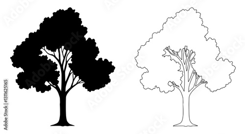 Silhouette Trees: Dual silhouettes of a tree, one solid black and the other a detailed outline, showcase the intricate branching and form of the natural world.