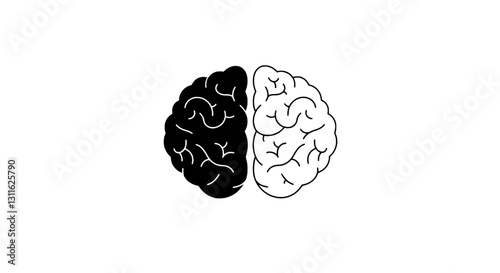 Dual Brain: The image features a brain, divided in two, with one half in contrasting tones, symbolizing the cognitive functions of mind and thought.