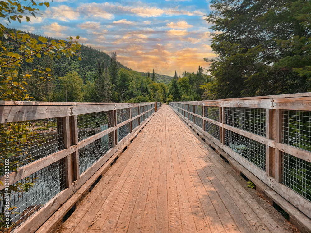 wooden bridge in the forest wooden bridge in the forest