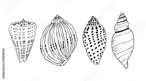 Set of sea shells in linear style. Sea, beach, ocean. Vector illustration in flat style.