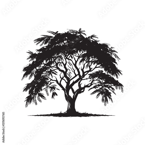 Foto Minimalist Black Locust tree Silhouette - Black Locust Tree Vector - Tree Design - Black Locus Tree Illustration