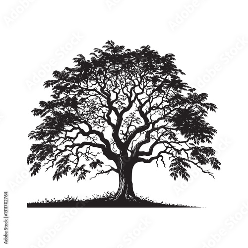 Black Walnut Tree Vector - Silhouette of Black Walnut tree - Tree art - Tree Design - Black Walnut Tree Illustration.