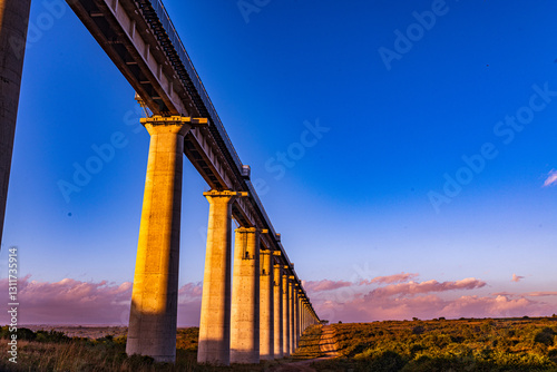 construction of a bridge Nairobi National Park Nairobi City County Kenya East Africa Landscapes Wild Wildlife Birds Field vegetation