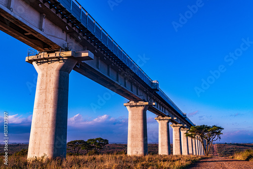Nairobi National Park is a national park in Kenya that was established in 1946 about 7 km south of Nairobi. It is fenced on three sides, whereas the open southern boundary allows migrating wildlife to