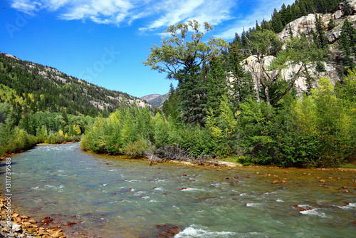 San Juan National Forest with Animas River in Colorado 