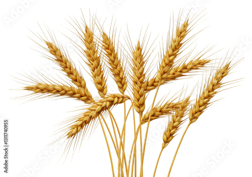 Golden Wheat Ears isolated on white or transparent png background