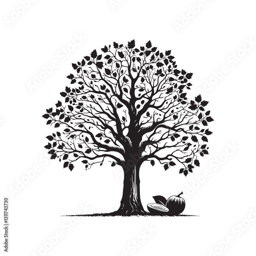 Minimalist Butternut Tree Silhouette - Butternut Tree Design - Butternut Tree Vector - Butternut Tree Illustration.